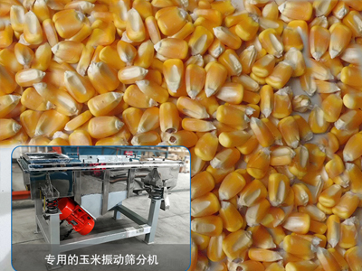 玉米茄子视频官网在线